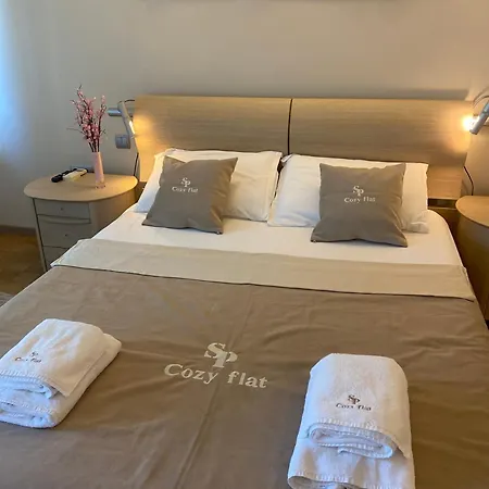 South Park Cozy Flat Own Free Parking *