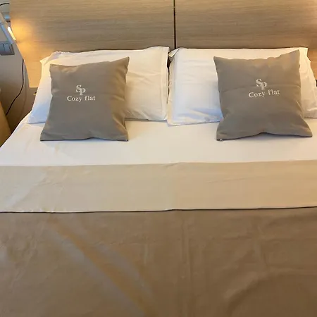 South Park Cozy Flat Own Free Parking 아파트 *