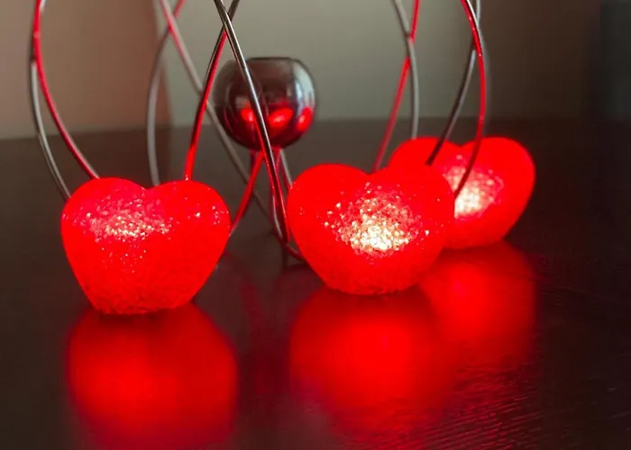 South Park Cozy Flat Appartamento Sofia